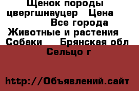 Щенок породы  цвергшнауцер › Цена ­ 30 000 - Все города Животные и растения » Собаки   . Брянская обл.,Сельцо г.